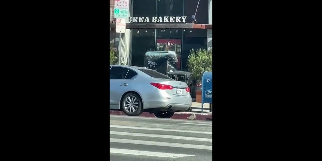 Los Angeles Armed Robbery Suspects Arrested Fox News Video