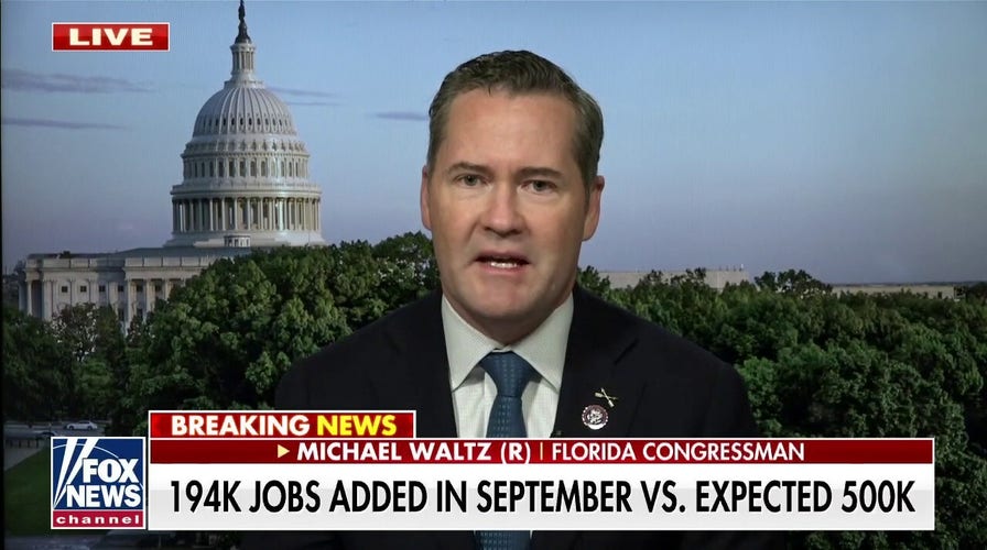 Michael Waltz projects 'anemic, flat economic recovery'