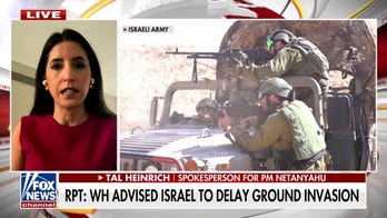 Biden admin advises Israel to delay ground invasion into Gaza: Report