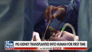 Pig kidney transplant is the ‘road to the future’: Dr. Marc Siegel - Fox News