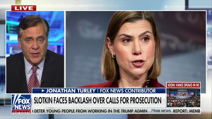 Jonathan Turley accuses Democratic politicians of trying to ride 'rage wave' back into power