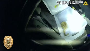 Colorado police officer shocked to find live rattlesnake in car during drug search