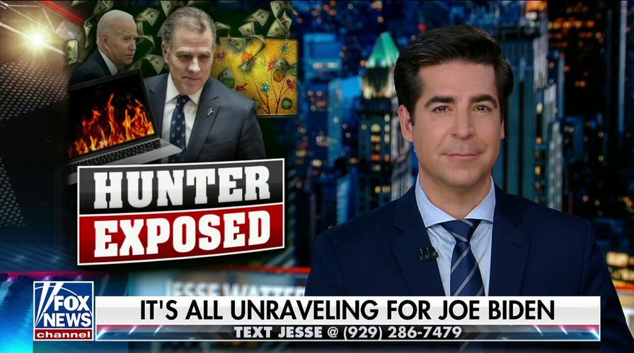 Hunter Biden has to advertise how despicable he is: Jesse Watters