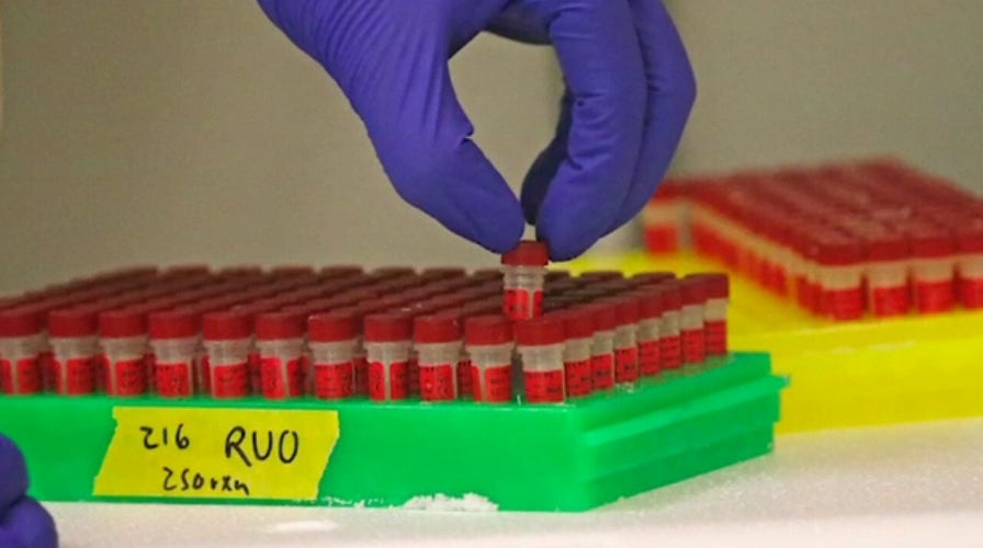 Experts warn coronavirus testing is key to reopening government