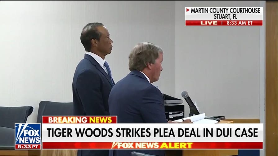 Tiger Woods strikes plea deal in Florida DUI case