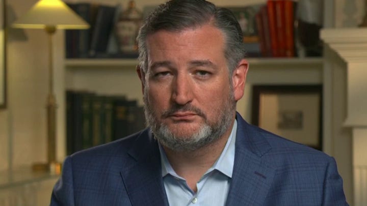 Ted Cruz blasts President Biden's hypocrisy over immigration crisis