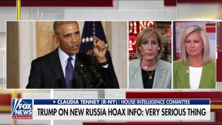 Trump is trying to ‘hold people accountable’ for Russia hoax: GOP lawmaker