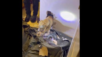 Firefighters in California rescue dog from inside the wall of a home