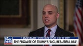 Democrats have a party without anything to offer: White House deputy chief of staff