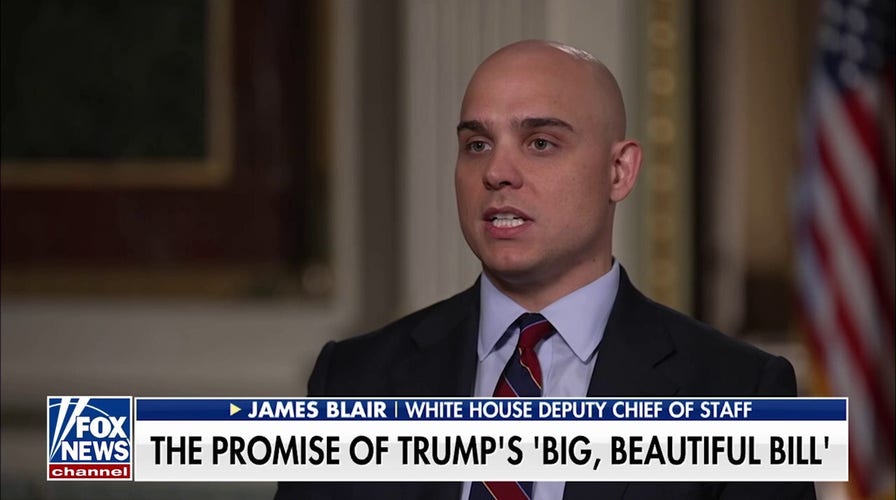 Democrats have a party without anything to offer: White House deputy chief of staff