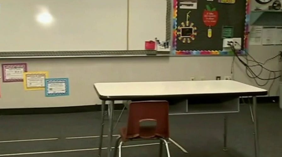 Critical race theory only hurts students, lifelong educator argues