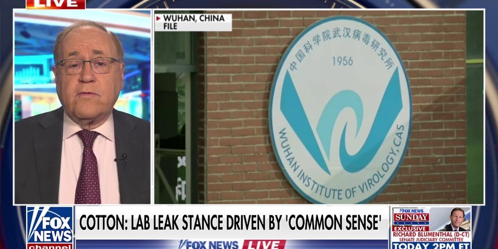 Dr. Marc Siegel: ‘We need to know’ the origins of COVID-19 to ‘prepare for the next pandemic’
