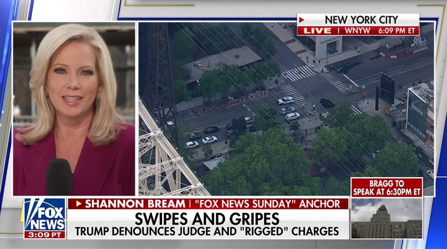 Shannon Bream: There is a good chance the Trump legal team can score victories on appeal