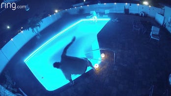 Man drops phone in swimming pool — yells, "No!" as he jumps in after it