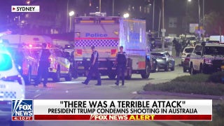 Australian government has 'refused' to take antisemitism issue seriously: Sky News Australia host