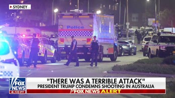 Australian government has 'refused' to take antisemitism issue seriously: Sky News Australia host