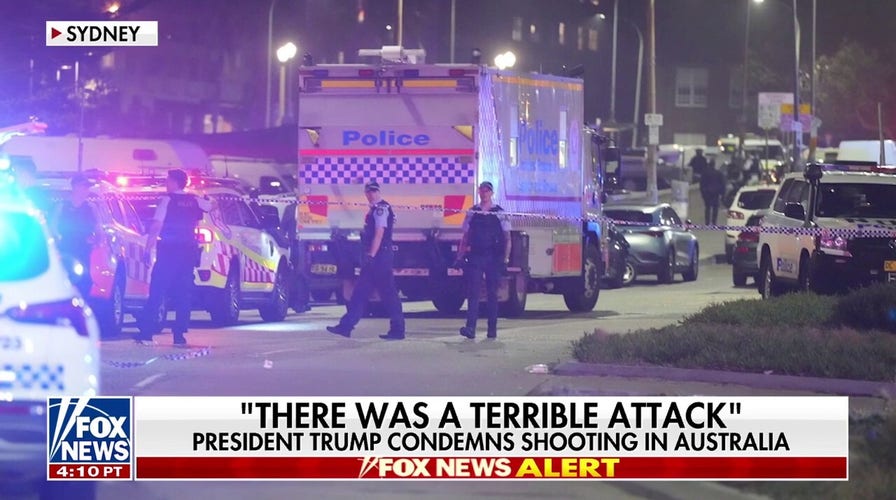 Australian government has 'refused' to take antisemitism issue seriously: Sky News Australia host