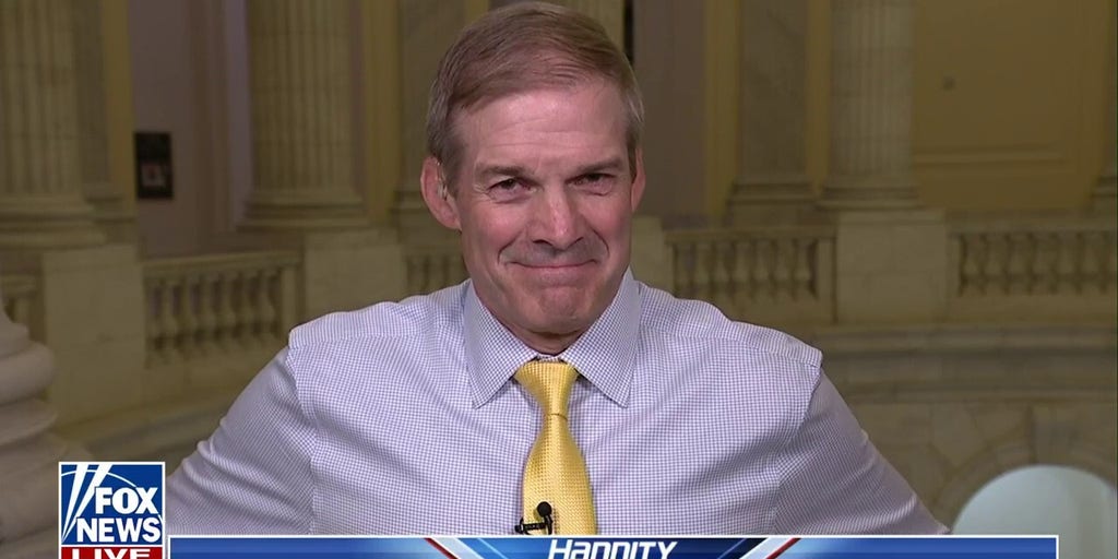 Jim Jordan: It is crazy to say non-citizens should participate in our election