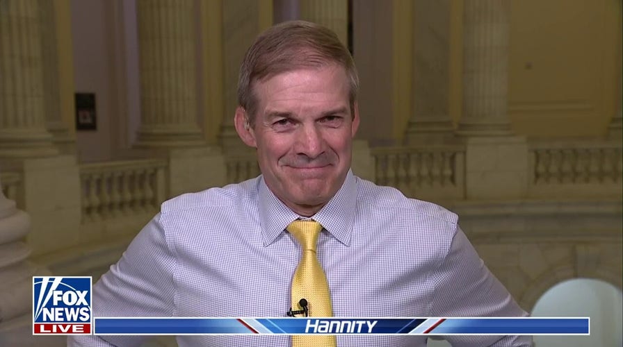 Jim Jordan: It is crazy to say non-citizens should participate in our election