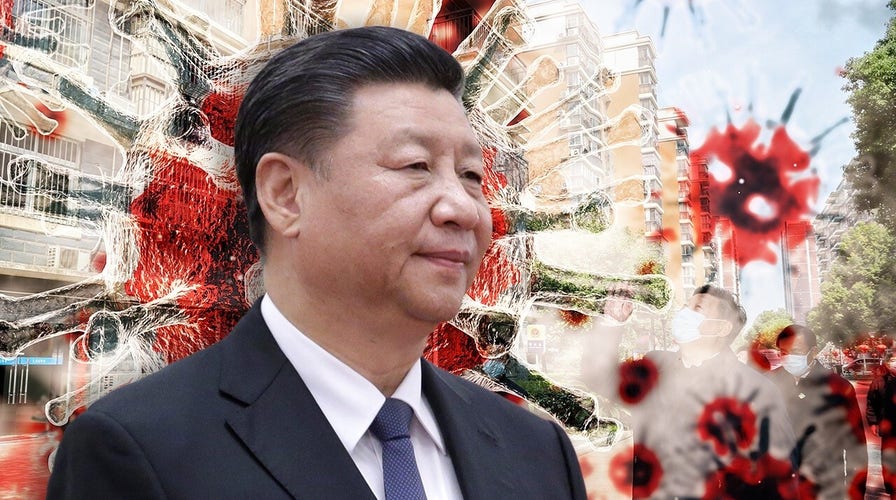 China denied WHO access to bat caves: Report