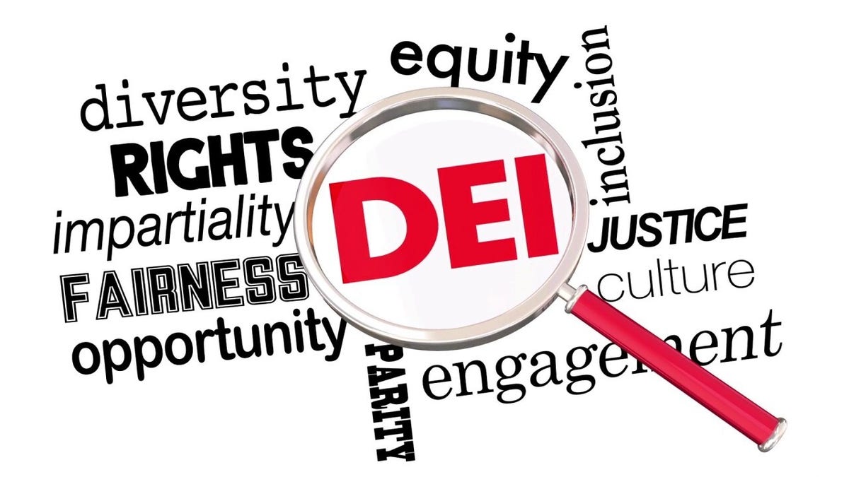 Top DEI staff at public universities pocket massive salaries as experts  question motives of initiatives | Fox News