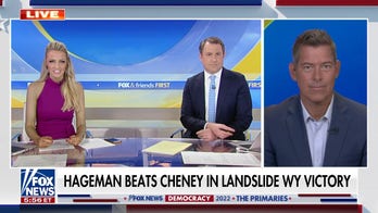 Sean Duffy: Liz Cheney 'lives in a bubble' and her political career is over