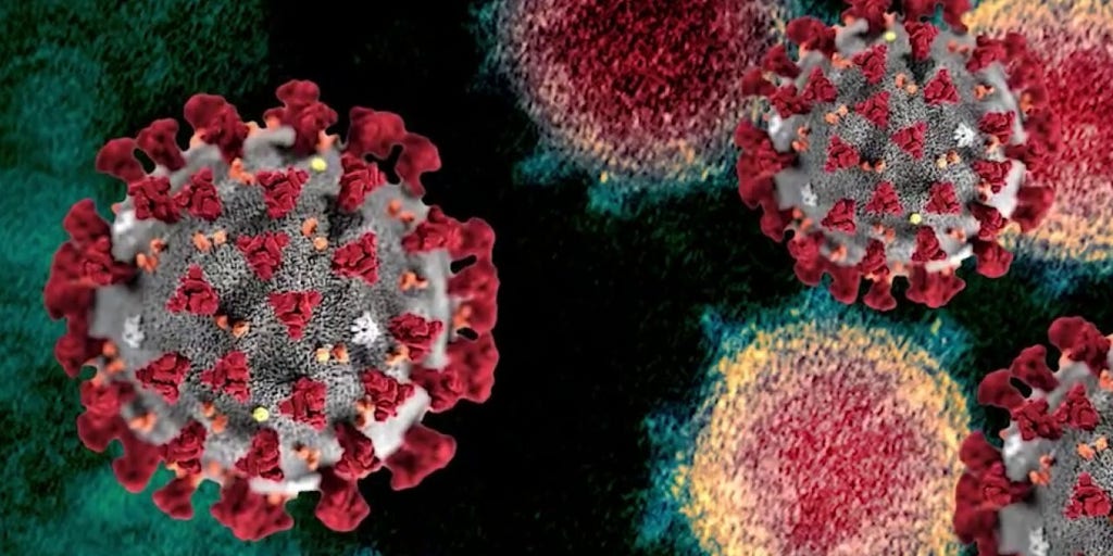 WHO now says asymptomatic spread of coronavirus is 'very rare' Fox(00)