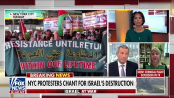 More than 80 colleges, universities condemn Hamas 