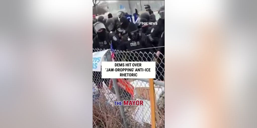Dems hit over 'JAW-DROPPING' anti-ICE rhetoric