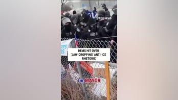 Dems hit over 'JAW-DROPPING' anti-ICE rhetoric