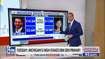 Michigan Senate primary puts socialists to the test