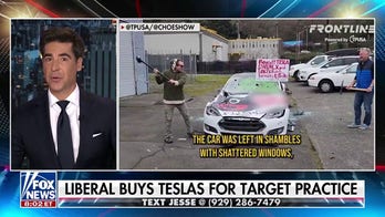 Jesse Watters: Democrats are only good at destruction 