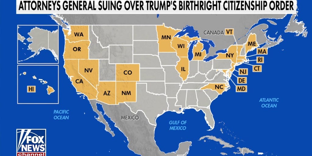 Jonathan Turley: Trump administration 'wants to be in court' over ending birthright citizenship
