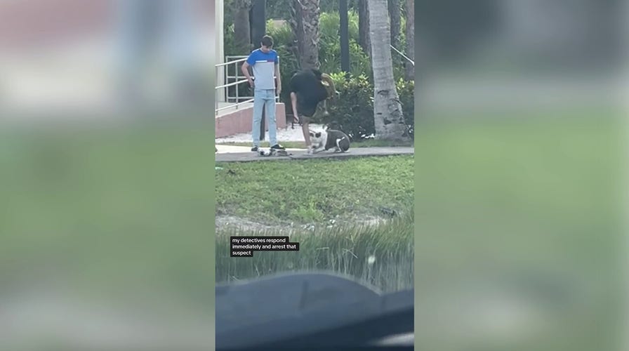 Florida man arrested after video surfaces of him abusing pit bull puppy