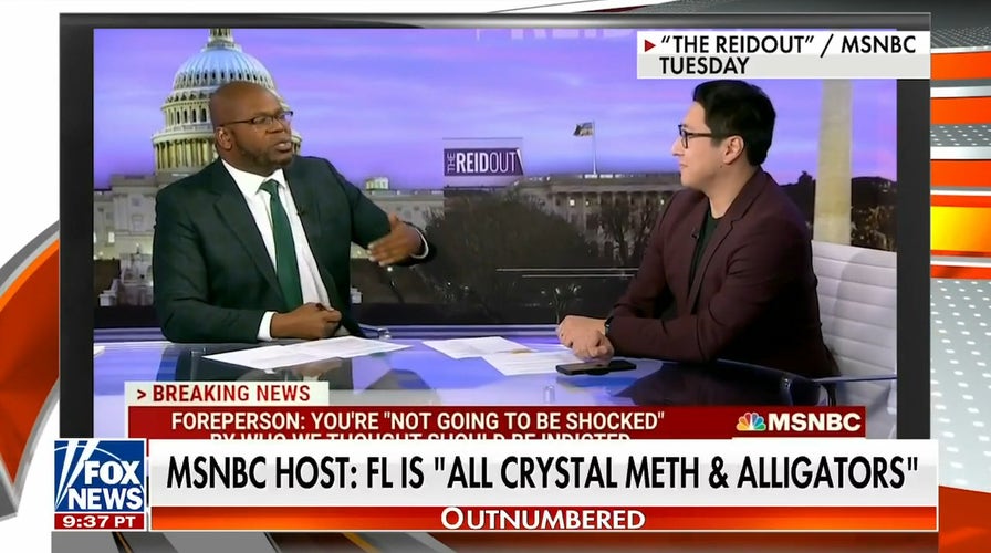MSNBC host roasted for trashing Florida: 'Meth and alligators'