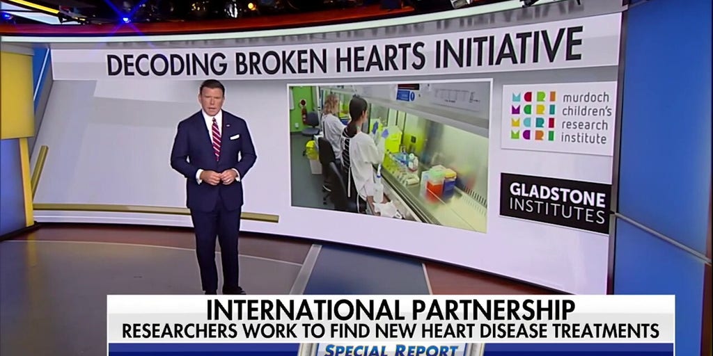 'Decoding Broken Hearts': Artificial intelligence used to advance heart health research