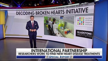 'Decoding Broken Hearts': Artificial intelligence used to advance heart health research