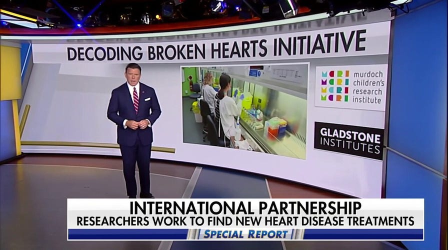 'Decoding Broken Hearts': Artificial intelligence used to advance heart health research