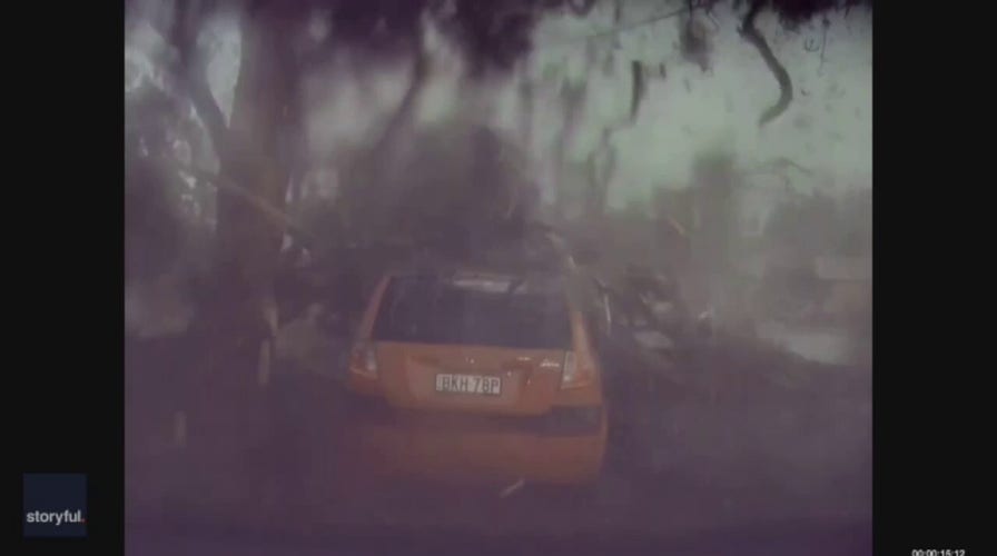 WATCH: Tree hit by lightning strike shatters onto man’s car, narrowly missing driver