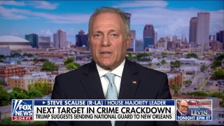 The Democratic Party is just 'way out of touch' with mainstream America: Steve Scalise
