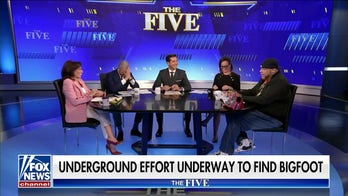 Harold Ford Jr.: Everyone is entitled to their views and we certainly don't have to engage in violence