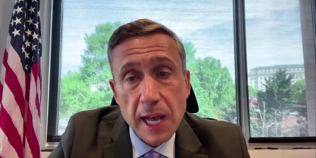 DNC Chair says David Hogg has to ‘make a decision’ on his party leadership