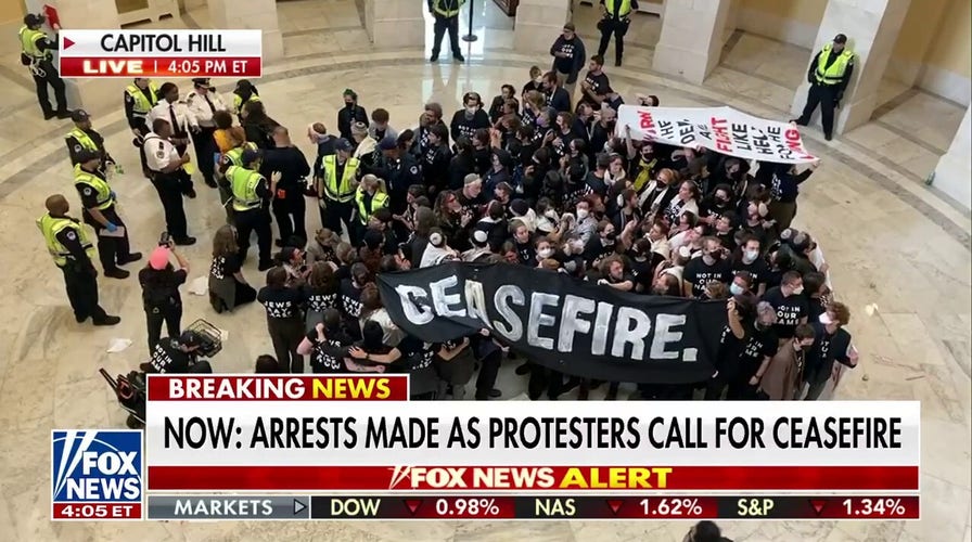 Arrests made as protesters call for ceasefire at Capitol