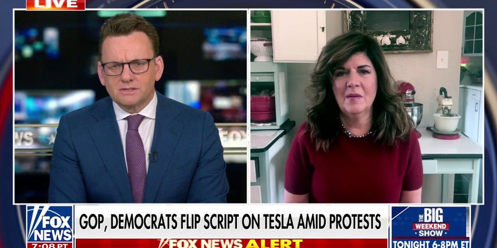 Opinions on Tesla flip between Republicans, Democrats amid protests