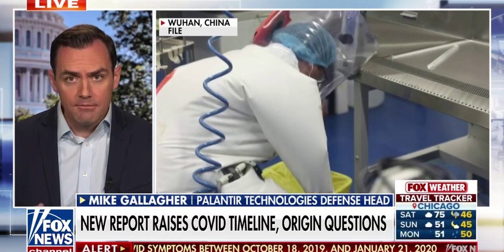 New report raises questions on COVID timeline and origin