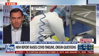 New report raises questions on COVID timeline and origin