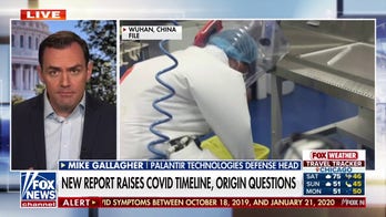 New report raises questions on COVID timeline and origin