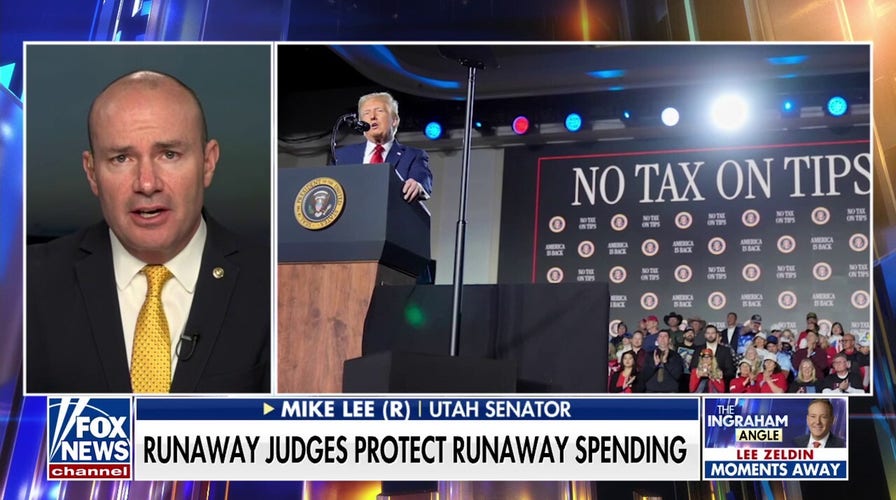 Sen. Mike Lee: DOGE's mission is 'entirely within the purview' of executive branch