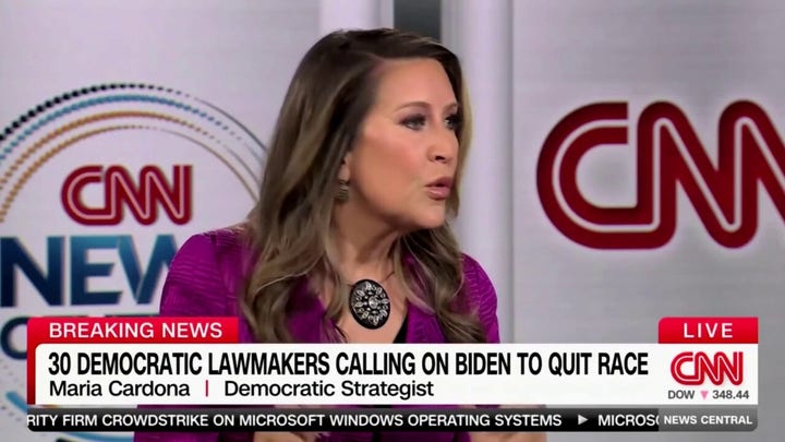 Democratic strategist says she feels like Trump ‘put a target’ on the backs of immigrants