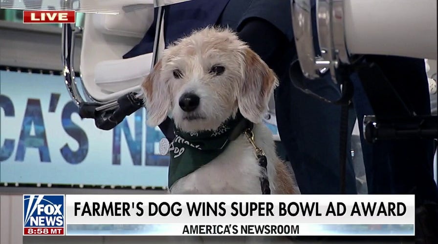 The farmer's 2024 dog reddit